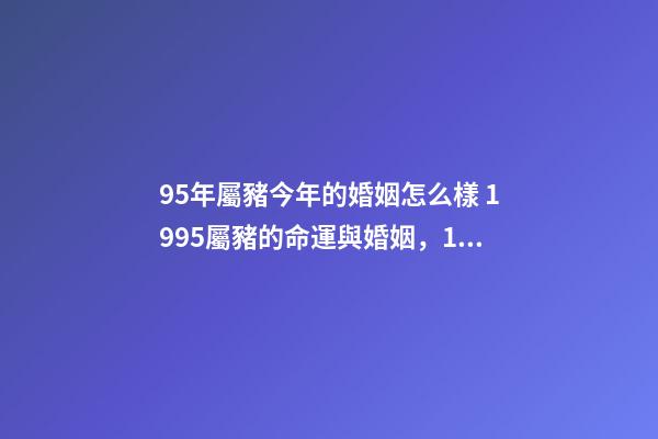 95年屬豬今年的婚姻怎么樣 1995屬豬的命運與婚姻，1995年屬豬的命運如何-第1張-觀點-玄機派